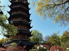 -红梅公园