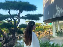 -罗红摄影艺术馆