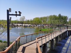 -东郊湿地公园