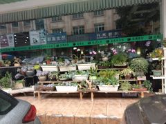-陈记烧鹅茶餐厅(世和路店)