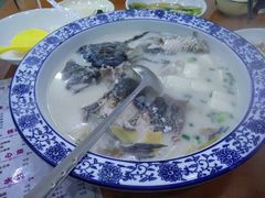 -全乐鱼馆·淳牌有机鱼直营店