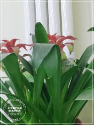 -SY水源护肤造型