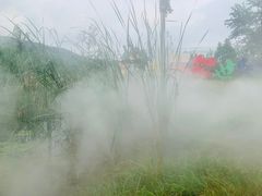 -安徽禾泉小镇