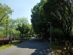 -白塘生态植物园