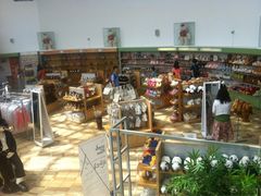 iphone_upload_pic-济州岛泰迪熊博物馆