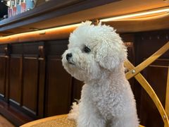 -沏点Trattoria意大利餐厅(新街口店)