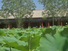 -库车王府