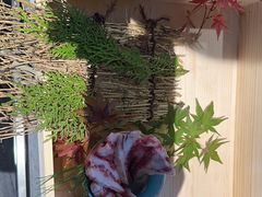 -海之屋韩式烤肉(海棠68环球美食街店)