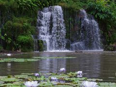 -中国科学院西双版纳热带植物园