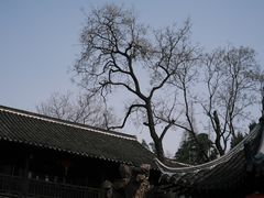 -个园