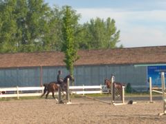 -北京群众马术培训基地