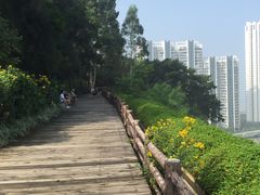 -狐尾山公园