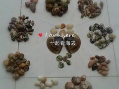 -临高角