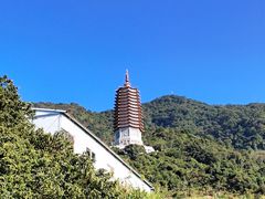 -深圳仙湖植物园
