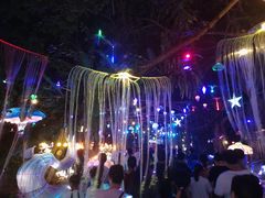 -广西壮族自治区药用植物园