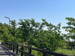 -朱家尖南沙景点
