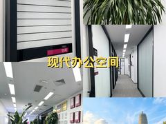 -新东方斯芬克艺术留学作品集培训(郑州校区)