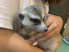 -藦茜花园宠物主题亲子互动体验馆(国顺东路店)