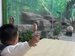 -灵玲国际马戏城