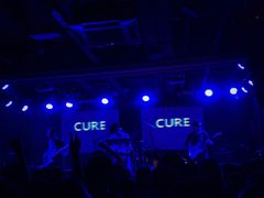 -坚果NUTS