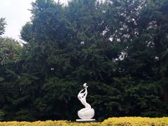 -杭州植物园