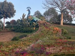 -东莞植物园