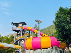 -重庆海昌加勒比海水世界