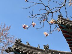 -碑林公园