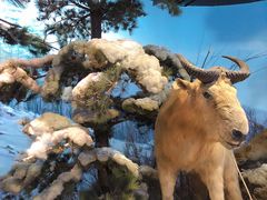 -陕西自然博物馆