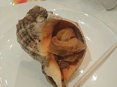 海螺肉-唐宫海鲜舫