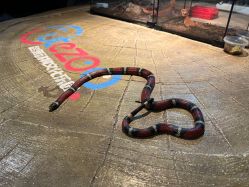 -酷嗒动物文化乐园(cutezoo西溪乐天城店)