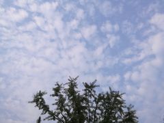 -成都中医药大学(温江校区)