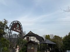 -金山农民画村-枫泾波兰倒置屋
