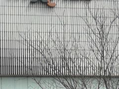 -醉炫音速烧烤·干煸菜(沙河总店)