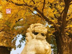 -北京石刻艺术博物馆(五塔寺)