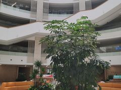 -厦门市图书馆(集美新城馆区)