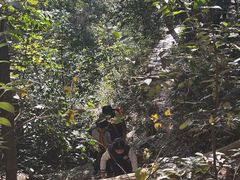 -杭州半山国家森林公园