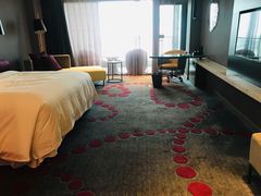 -南京禄口机场雅高铂尔曼大酒店