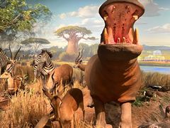 -陕西自然博物馆