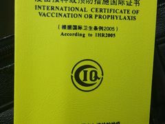 -上海国际旅行卫生保健中心(浦东分中心)