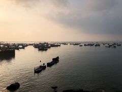-枸杞岛
