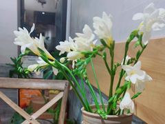-囿面传统制面馆(中央路店)