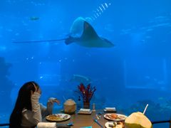 -海棠湾洲际-涛·海底餐厅·美人鱼·自助餐·海底隧道