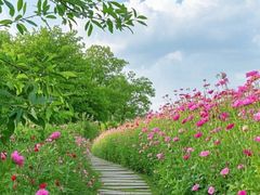 -长白岛森林公园