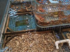-天盛海鲜烧烤大排档·本地小海鲜·牟平腿穗子(幸福店)