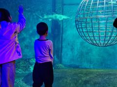 -大连海昌发现王国主题公园