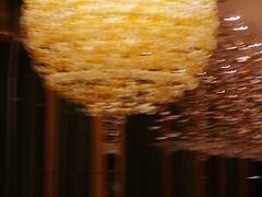 -视界美食自助餐厅·石家庄希尔顿酒店