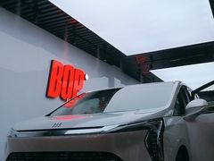 -阿胡BOP保镖隐形车衣(静安旗舰店)