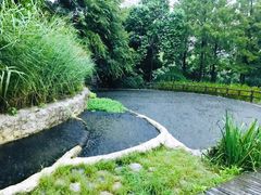 -成都市活水公园