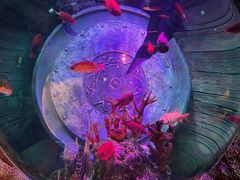 -沈阳海洋探索中心